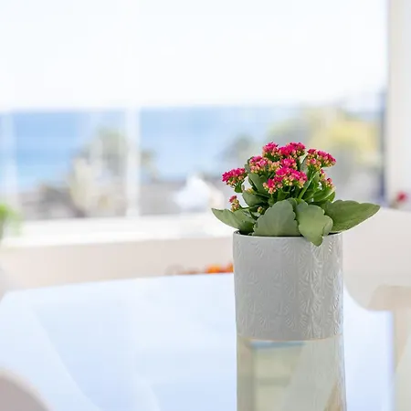 Sea Front View, Διαμέρισμα *